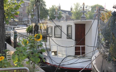 Amstel 19