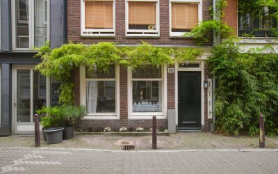 Goudsbloems. 106-H