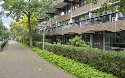 Leeuwenwerf 128