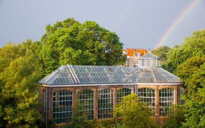 Hortusplantsoen 42