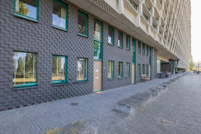 Rietlandterras 30