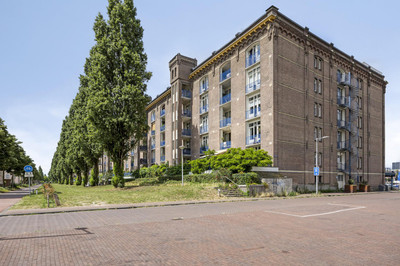 Zeeburgerka. 628