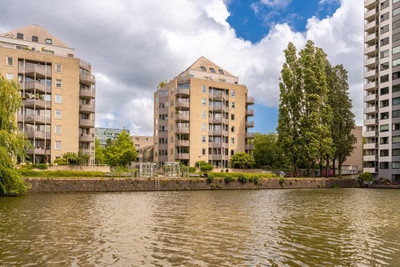 Borneolaan 268