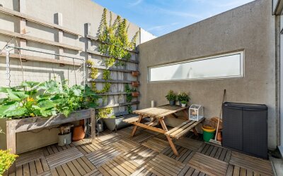 Lampenisten. 18