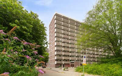 Jisperveldstraat 147