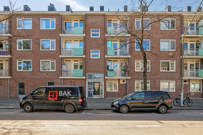 Werengouw 401