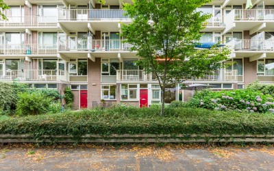 Zilverberg 74