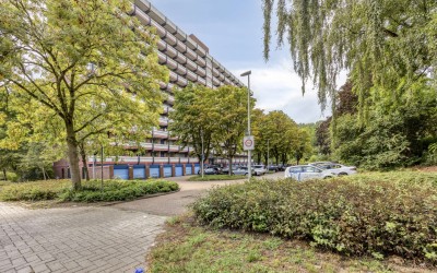 H. Cleyndertweg 529
