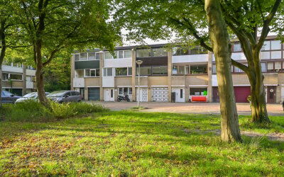 Amerbos 25