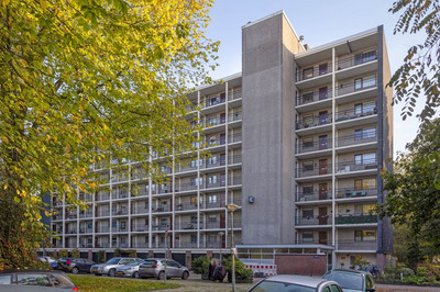 Amerbos 34