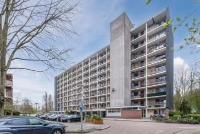 Amerbos 62