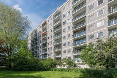 Amerbos 360