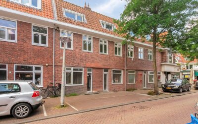 Mosveld 41-1