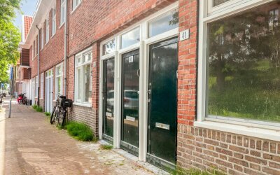 Mosveld 41-H