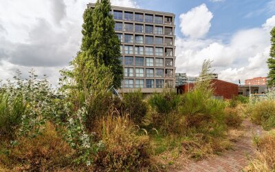 Fonteinkruidstraat 80