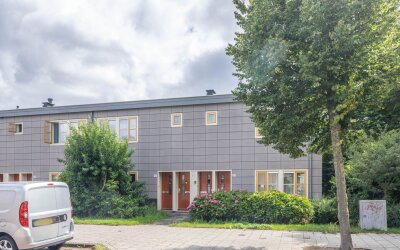 Mandarijnen. 30-1