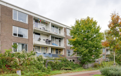 Botterstraat 40
