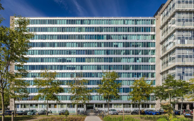 Bos en Lomm. 113-E