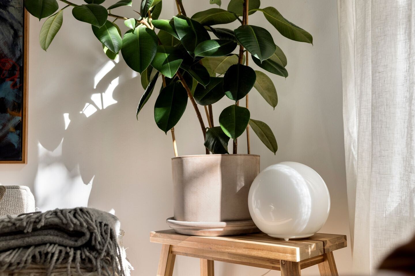 Appartement te koop: Geuzenstraat 31-2, Amsterdam