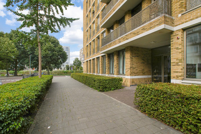 Blauwvoetst. 17