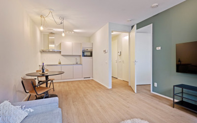 Suze Robertsonstraat 29
