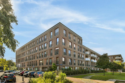 Suze Robertsonstraat 55