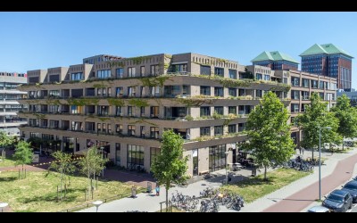 Schipluiden. 194
