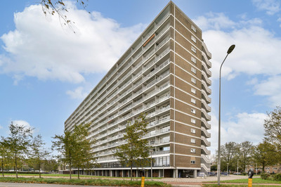 Burgemeeste. 75