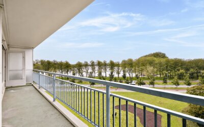 Burgemeester Hogguerstraat 537