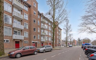 Cornelis Le. 113-2