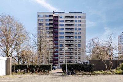 Vrijzicht 90