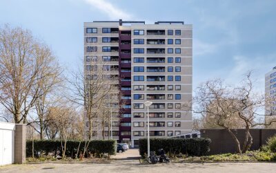 Vrijzicht 90