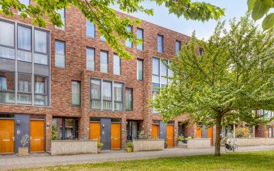 Kweekhoven 19