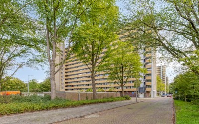 Langswater 277