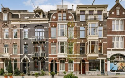 Koninginnew. 65-3
