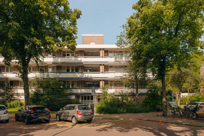 Bolestein 184