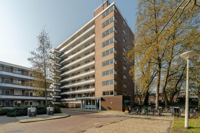 Bolestein 266