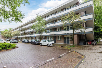 Bolestein 496