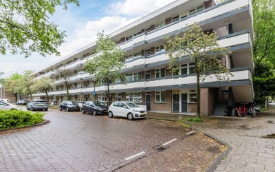 Bolestein 496
