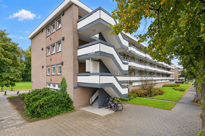 Bolestein 738