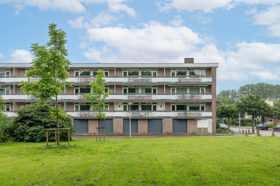 Bolestein 796