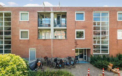 Rupelmonde 6