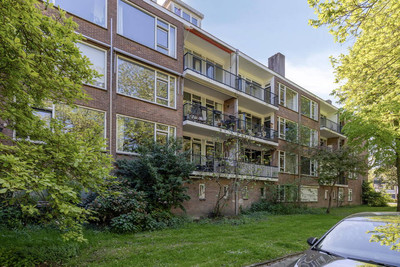Sonneveld 43-3