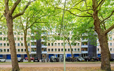 Van Nijenrodeweg 298