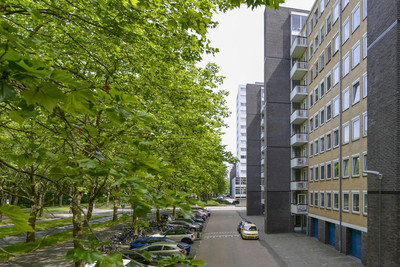 Van Nijenro. 491
