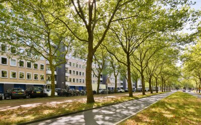 Van Nijenrodeweg 697