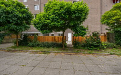 Geervliet 55