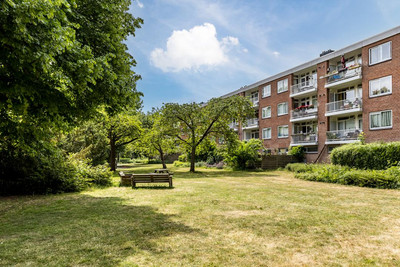Wedderborg 22