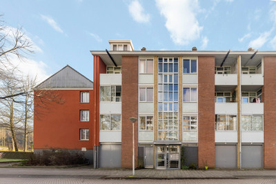 Wamberg 18-3