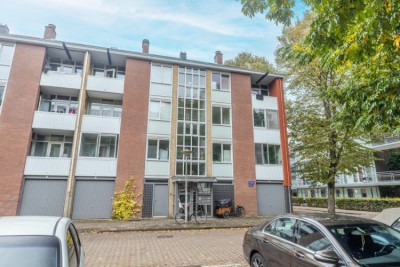 Wamberg 31-2